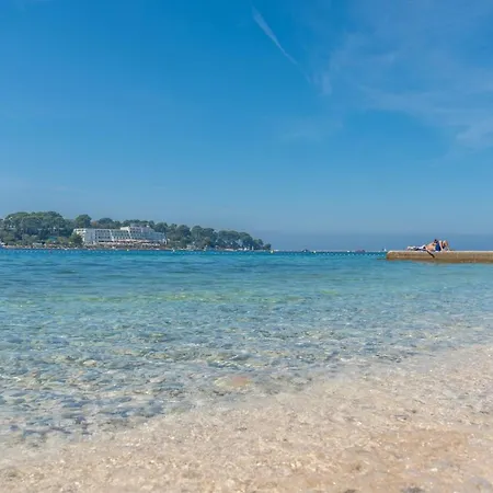 Guest house Lavizatic 3*